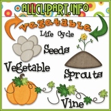 TPT EXCLUSIVE BUNDLE - Life Cycles Clip Art - Vegetables