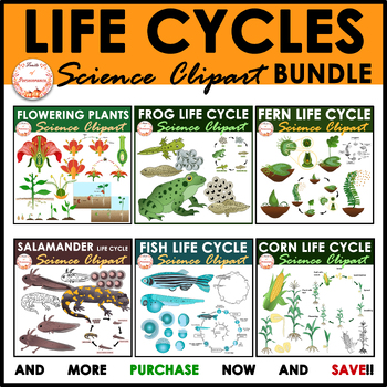 Preview of Life Cycles Clipart Growing Bundle | Animals and Plants