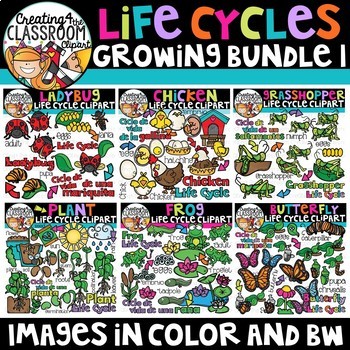 Preview of Life Cycles Clipart Bundle {Life Cycles Clipart}