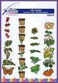 Life Cycles Clipart (butterfly, bean plant, frog and pumpkin)