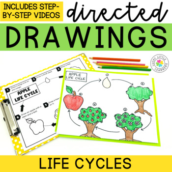 Preview of Life Cycles Directed Drawings | Pumpkin Directed Drawing | Bats and Spiders