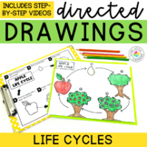 Life Cycles Directed Drawings | Pumpkin Directed Drawing |