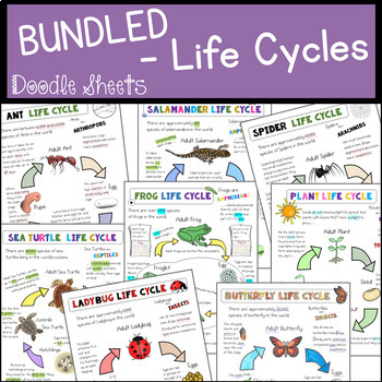 Preview of Life Cycles Doodle Pages BUNDLE !