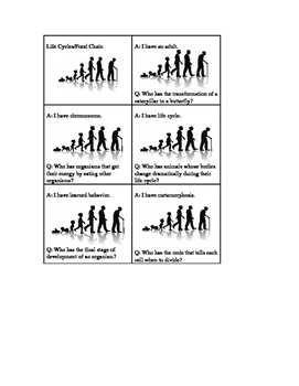 Preview of Life Cycles/Food Chain