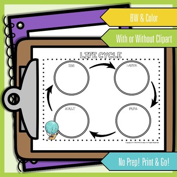 Life Cycles Graphic Organizer By EzPz Science Teachers Pay Teachers