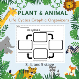 Life Cycles Graphic Organizer for Animals Plants 3, 4 5 St