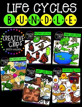 Preview of Life Cycles Bundle {Creative Clips Digital Clipart}