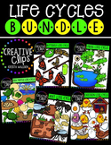 Life Cycles Bundle {Creative Clips Digital Clipart}