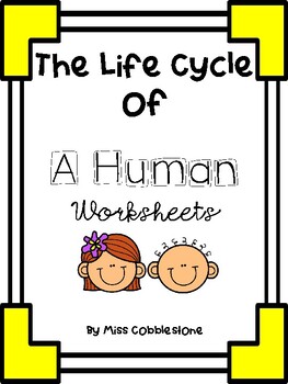 Preview of Life Cycles - Human Packet