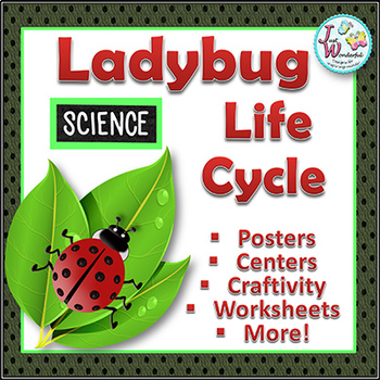 Preview of Life Cycles LADYBUG LIFE CYCLE Unit with Craftivity