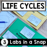 Life Cycles Labs in a Snap | 2nd 3rd Grade | Life Cycle of