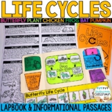 Life Cycles Lapbook & Passages | Butterfly, Frog, Chicken,