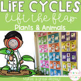 Life Cycles Lift the Flap Pack - Plants and Animals