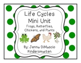 Life Cycles Mini Unit {Frogs, Chickens, Butterflies, Plants}