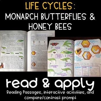 Preview of Life Cycles: Monarch Butterflies and Honey Bees Reading Passages and Activities