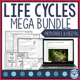 Life Cycles Nonfiction Articles and Activities Mega Bundle