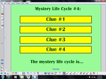 Preview of Life Cycles Notebook Lesson