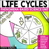 Life Cycles | Phenomenon Based Science CER | Plant & Animals