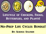 Life Cycles PowerPoints Bundle