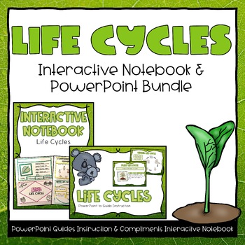 Preview of Life Cycles PowerPoint & Interactive Notebook Bundle - Second Grade