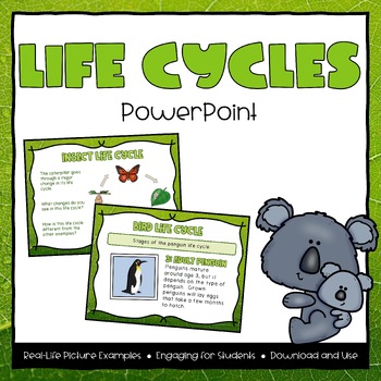 Preview of Life Cycles Powerpoint - Second Grade