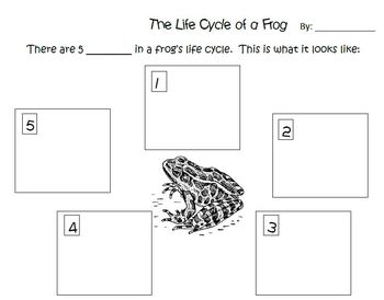 life cycles printables and activities by learning with perks tpt