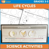 Life Cycles Project – Birth, Growth, Reproduction, Death -