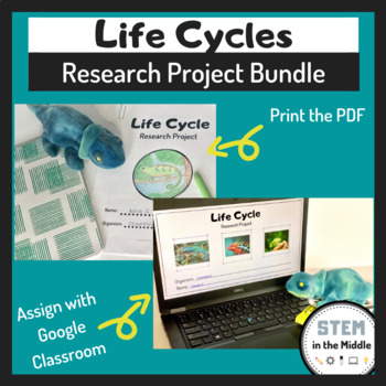 Preview of Life Cycles Project Bundle Distance Learning