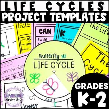 life cycle research project elementary