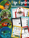 Life Cycles Reading Comprehension Passages | Butterfly Life Cycle