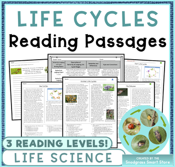 Preview of Life Cycles: Reading Comprehension Passages and Questions 