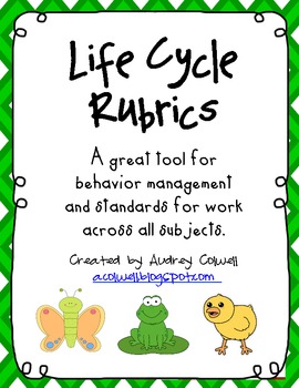Preview of Life Cycles Rubrics