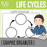 Life Cycles Science Graphic Organizer Template