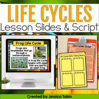 Preview of Life Cycles PowerPoint Slides and Note Taking Graphic Organizers, Plant, Animals