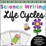 Life Cycles Science Writing