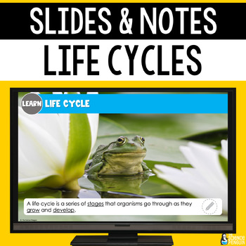 Preview of Life Cycles Slides & Notes Worksheet | Plant, Frog, Ladybug, Animal Powerpoint