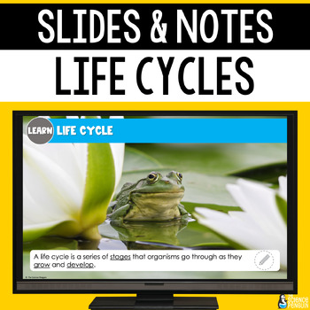 Preview of Life Cycles Slides & Notes Worksheet