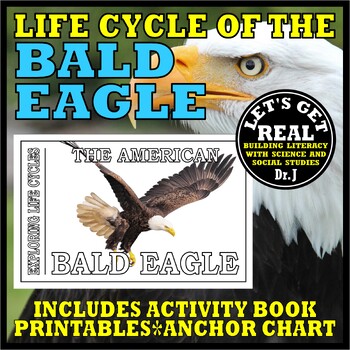 Preview of Life Cycle of the AMERICAN BALD EAGLE