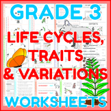 Life Cycles, Traits & Variations - Science Worksheets for 