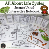 Life Cycles Unit 8 Animals and Plants All About Life Cycle