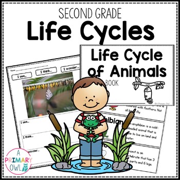 Preview of Life Cycles Unit Second Grade Sequencing Cards STEM Projects Mini Books