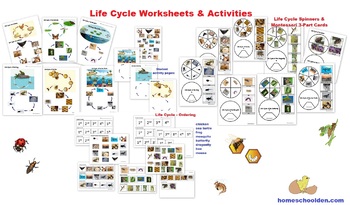 Preview of Life Cycles Worksheets & Activities 50+ page Packet