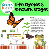 Life Cycles and Growth Stages Lesson Vocabulary Comprehens