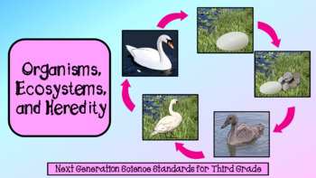 Preview of Organisms, Ecosystems and Heredity (Life Cycles and Traits)