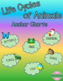 Life Cycles of Animals