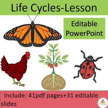 Preview of Life Cycles of Flowering plants and Animals Lesson-PowerPoint and worksheets