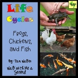 Life Cycles of Frogs, Chickens, and Fish for K to 2nd