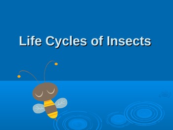 Preview of Life Cycles of Insects: Powerpoint and follow-up