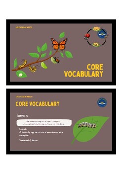Preview of Life Cycles of Insects Vocabulary Cards - Amplify, CKLA 2nd Grade K7 L3