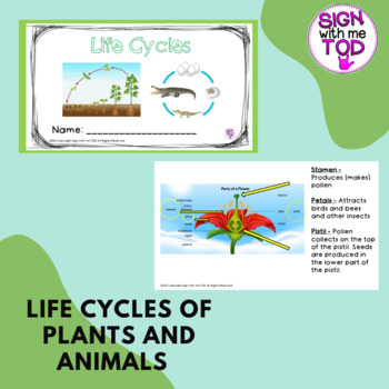 Preview of Life Cycles of Plants and Animals - Science - Adapted Notes and Review